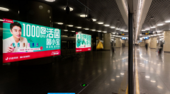 菌小宝品牌slogan及logo全新发布!